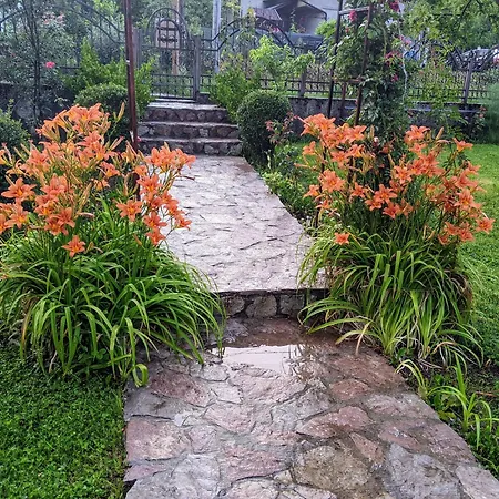 Hrastik 1 * بيهاتش
