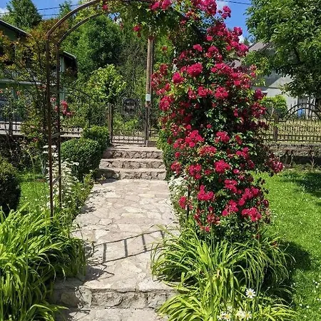 Apartament Hrastik 1 *